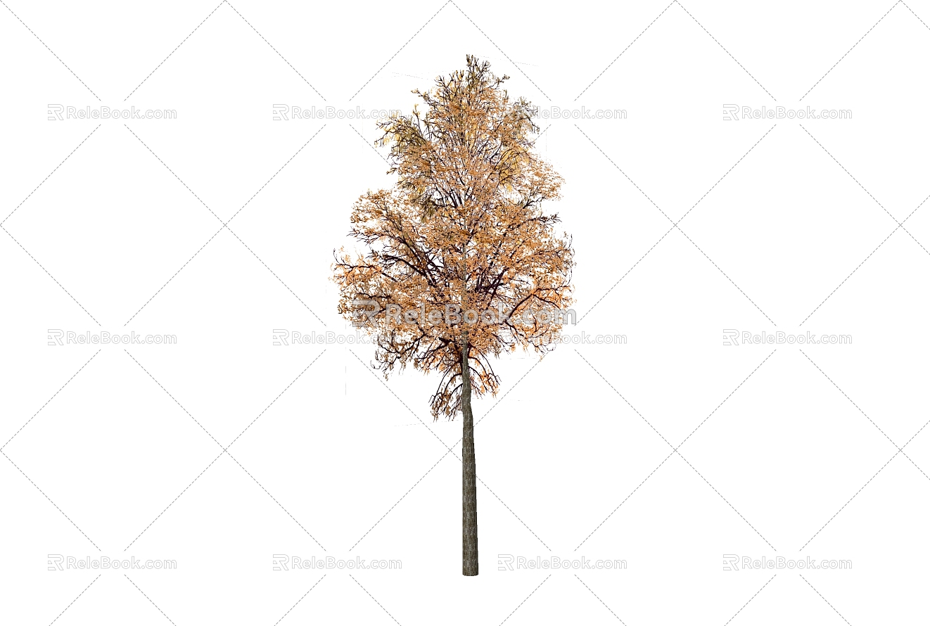 Tree 3d model