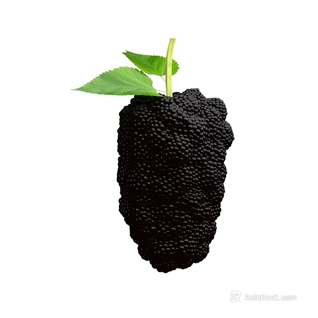 Fresh Ripe Black Mulberry Fruit With Green Leaves And Stem 3d model 