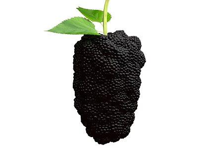 Fresh Ripe Black Mulberry Fruit With Green Leaves And Stem 3d model