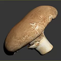 Modern mushroom straw mushroom poisonous mushroom plant 3d model