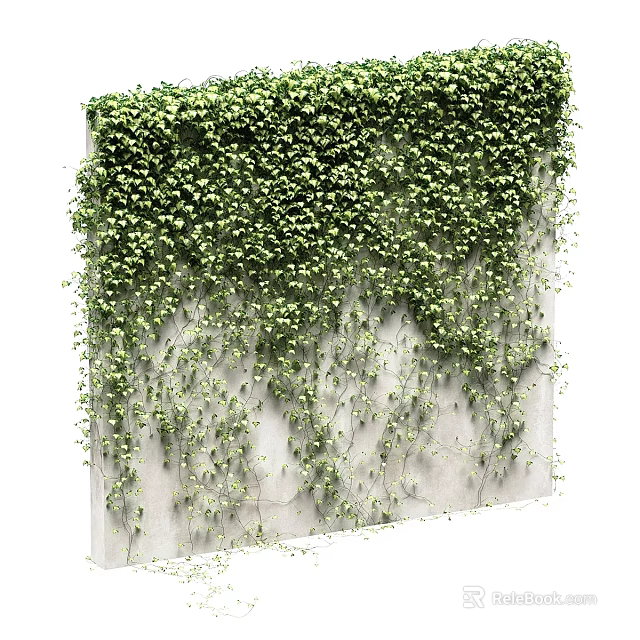Decorative Plant Ornament Set With Green Ivy Vines Covering Gray Concrete Wall 3d model 