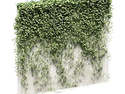 Decorative Plant Ornament Set With Green Ivy Vines Covering Gray Concrete Wall 3d model