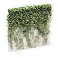 Decorative Plant Ornament Set With Green Ivy Vines Covering Gray Concrete Wall