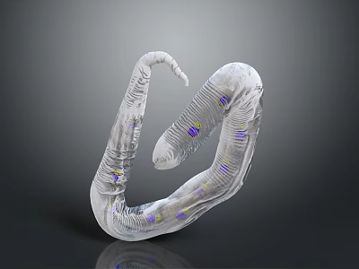 Detailed Transparent Worm Like Creature With Purple And Yellow Spots In 3d model