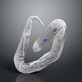 Detailed Transparent Worm Like Creature With Purple And Yellow Spots In