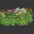 Colorful Garden Flowers with Pink Yellow White Blooms in Wavy Arrangement on Dark Background