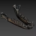 Animal Jawbone Skeleton With Sharp Teeth And Bone Structure Details