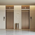 Luxurious Private Elevator In 20F Residential Building With Marble Floor 3d model