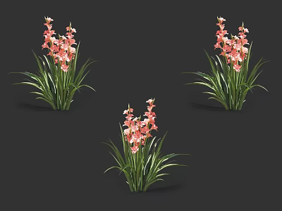 Three Clusters of Pink Flowers with Long Green Leaves on Dark Background 3d model