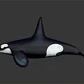 Aquatic Orca With Dark Blue White Body Glowing Blue Spots And Reflection On Gray Background
