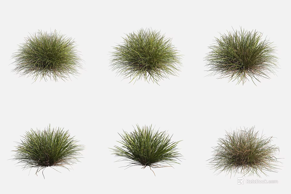 Various Aquatic Plants With Different Green Foliage And Natural Growth Forms 3d model 
