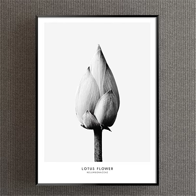 Black and White Framed Botanical Painting of Lotus Bud in Elegant Minimalist Style 3d model