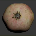 Fresh Ripe Pomegranate with Pink Yellow Glossy Skin and Natural Texture