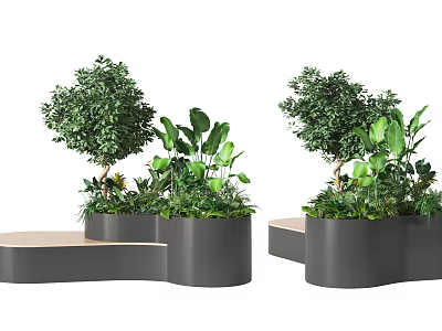 Beautiful Bonsai Potted Plants with Lush Green Foliage in Modern Black Containers on Tiered Platforms 3d model