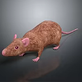 3D Rendered Brown Mouse With Pink Ears And Tail On Dark Background With Reflection