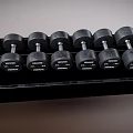 Black Troy Dumbbells with Different Weights on Black Fitness Equipment Rack