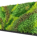 Vibrant Green Plant Wall Featuring Diverse Lush Foliage For Interior Design 3d model