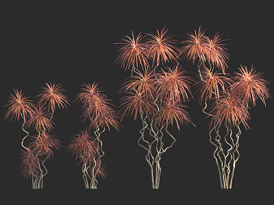 Ornamental Plants Featuring Red Orange Leaves And Curved Stems Arrangement 3d model