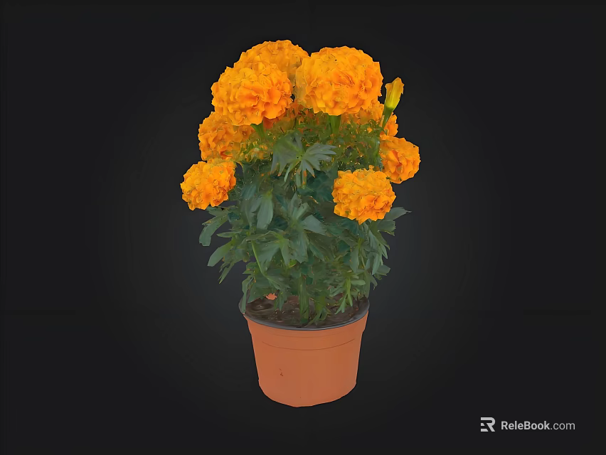 Orange Marigold Potted Plant with Brown Clay Pot and Green Leaves 3d model 