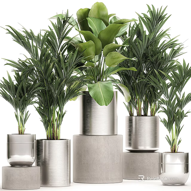 Green Leafy Potted Plants In Silver Metallic Pots With Various Sizes And Decorative 3d model 