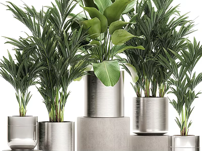 Green Leafy Potted Plants In Silver Metallic Pots With Various Sizes And Decorative 3d model