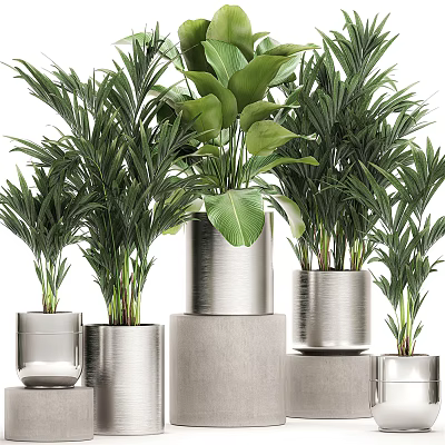 Green Leafy Potted Plants In Silver Metallic Pots With Various Sizes And Decorative 3d model