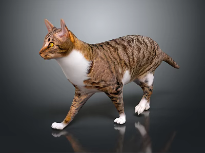 Brown And White Striped Reptile Lizard With Yellow Eyes Walking On Dark Surface 3d model