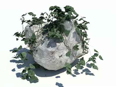 Natural Stone Covered With Lush Ivy Vines And Green Leaves 3d model