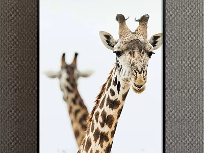 Stunning Giraffe Animal Painting Featuring Two Giraffes in Front and Background Setting 3d model