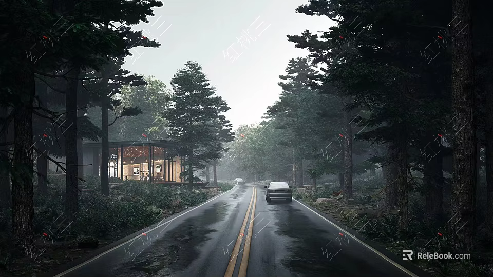 Single Family House Surrounded by Lush Forest Trees Along Wet Road in Natural Setting 3d model 