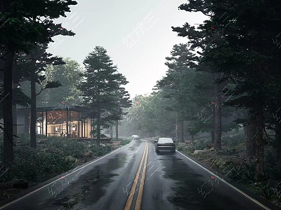 Villa Forest Road Rainy Day Landscape 3d model