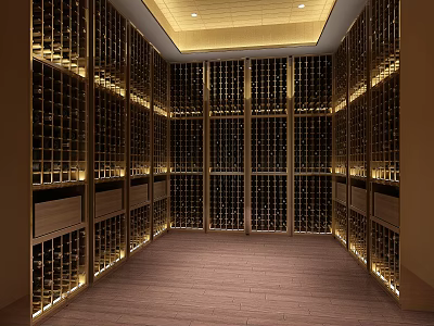 Modern Wine Cellar Interior With Well Lit Multiple Wine Racks And Wooden Floor Design 3d model