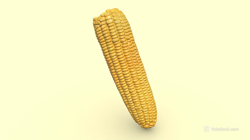 Organic Fresh Yellow Ripe Corn Cob Isolated On White Background 3d model 