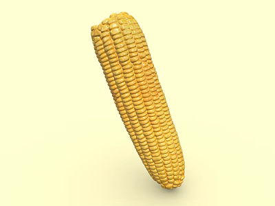 Organic Fresh Yellow Ripe Corn Cob Isolated On White Background 3d model