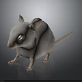 Light Brown Mouse With Large Ears White Eyes And Long Tail Standing On Black Background