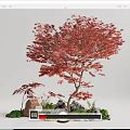 Natural Garden Ornament Featuring Red Maple Tree Small Palm Tree Stones Green Plants And Lamp