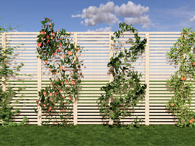 Lush Vines Climbing On White Wooden Fence With Orange Fruits And Green Grass Background 3d model