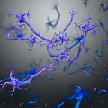 Advanced Medical Devices For 3D Neuron Structures Scientific Visualization And Research