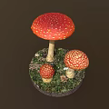 Vibrant Red White Spotted Mushrooms In Various Sizes Growing On Moss And Twigs Natural Habitat