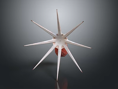 Unique Starfish With Multiple Spikes And Red Center On Dark Background 3d model