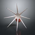 Unique Starfish With Multiple Spikes And Red Center On Dark Background