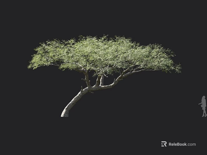 Lush Green Arbor with Curved Trunk and Lush Foliage Standing Against Black Background with Small Human Figure 3d model 