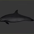 Highly Realistic Dolphin Marine Animal 3D Model Displaying Natural Swimming Posture
