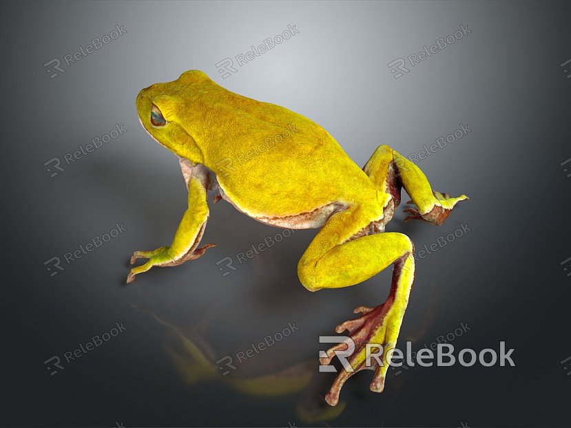 Frog Frog Frog Poison Frog Game Frog Reptile Cold Blooded Animal Reptile Reptile model