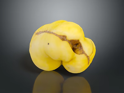 Single Yellow Blemished Fruit With Rotten Spots On Dark Reflective Surface 3d model