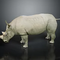 Detailed Rhinoceros Sculpture Display With Dark Background And Reflection