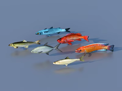 Different Types of Colorful Aquatic Fish Including Blue Red Silver and Green Swimming Together 3d model
