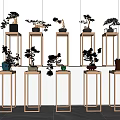 Modern Minimalist Interior With Multiple Golden Metal Plant Stands And Bonsai Trees