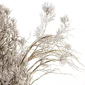 White Gray Marbled Vase With Dried Natural Plants For Minimalist Interior Decor