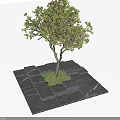 Square Stone Tree Pit With Green Leaf Tree And Stacked Stone Blocks 3d model
